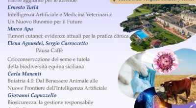 Evento formativo “ORIZZONTI VETERINARI DAGLI IBLEI tra scienza, salute e innovazione” del 14/06/2025 – ASSEMBLEA ISCRITTI PER APPROVAZIONE BILANCI – PRANZO SOCIALE presso Torre Don Virgilio Country Hotel, in Modica